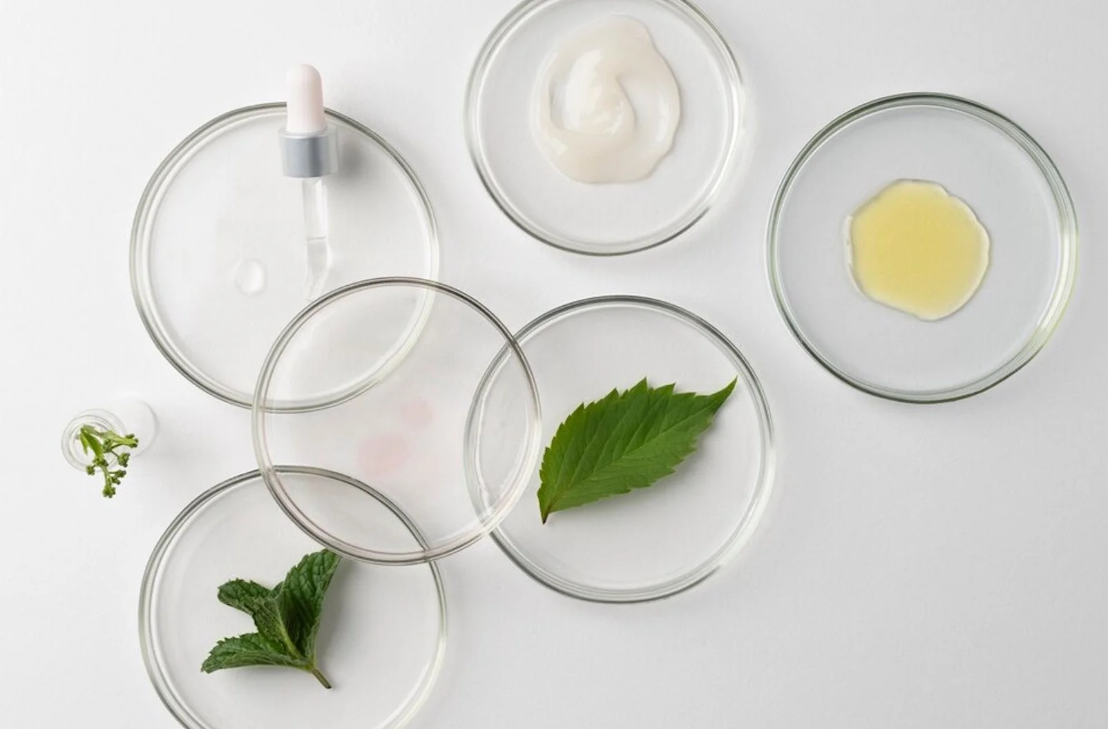custom formulation and product development